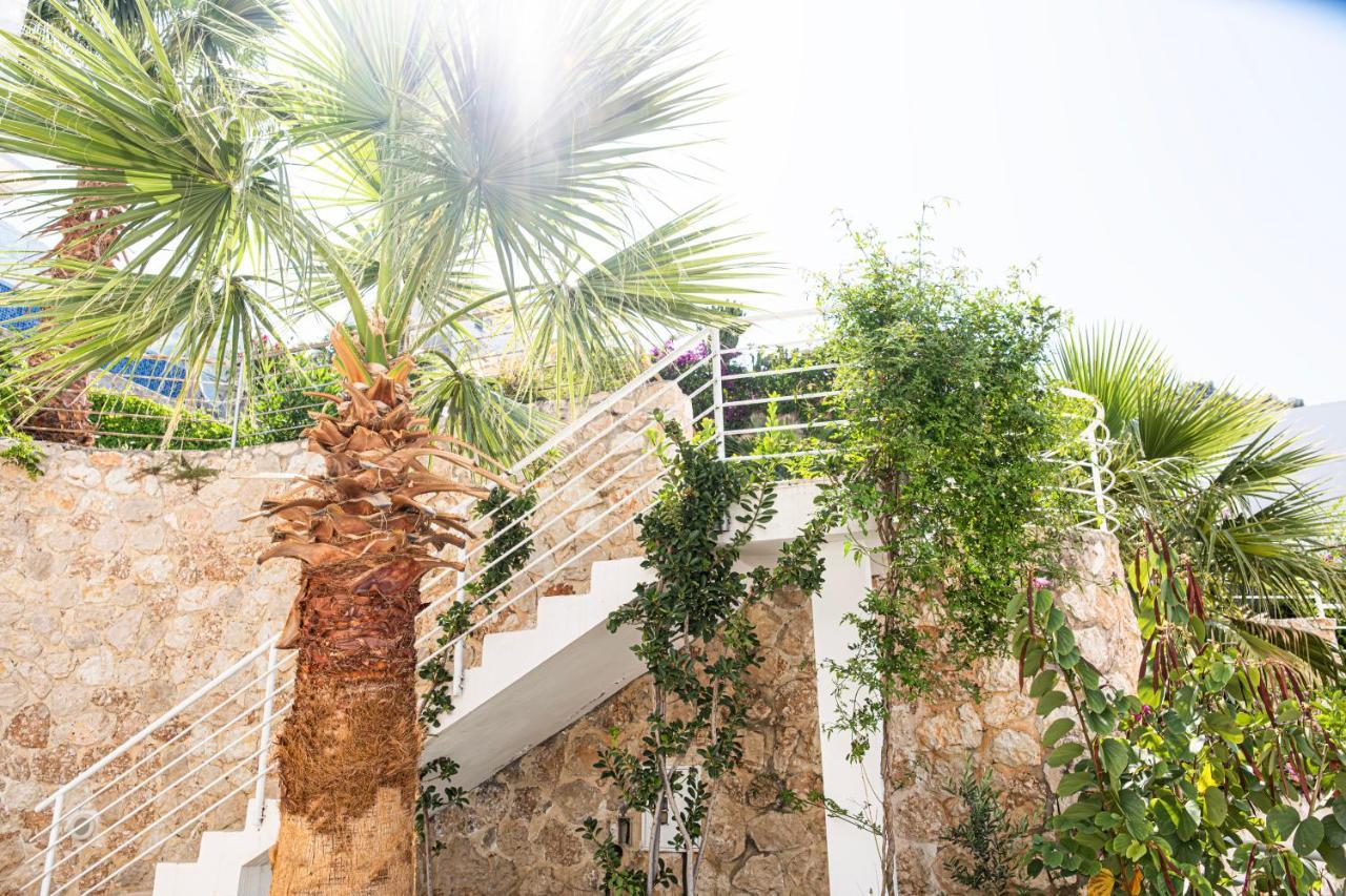 Villa Ayseguel 칼칸 외부 사진